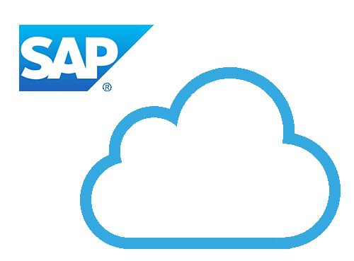 SAP Services